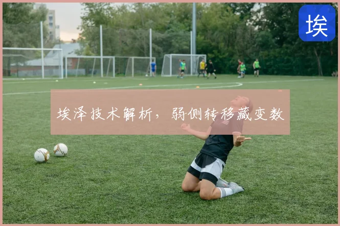 埃泽技术解析,弱侧转移藏变数